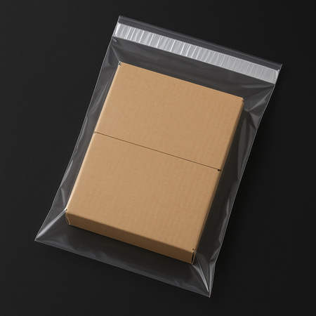 Self-adhesive Courier Polybags (8x11 Inch 100 Pc)