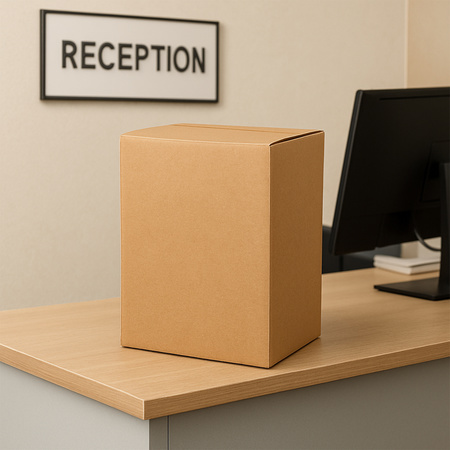 Heavy-duty Brown Box For Product Packing (26x20x12 Cm 1 Pc)