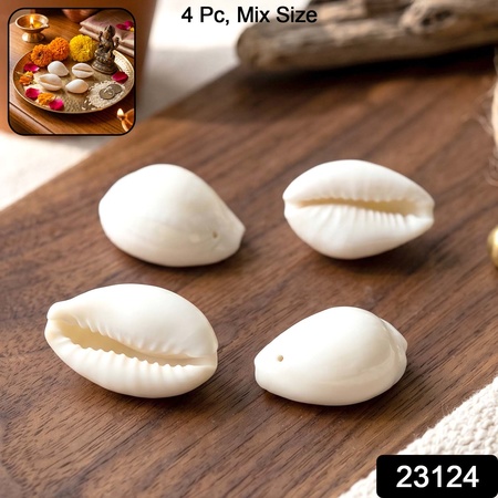 Natural Kaudi Cowrie Shells (4 Pc Mix Size)