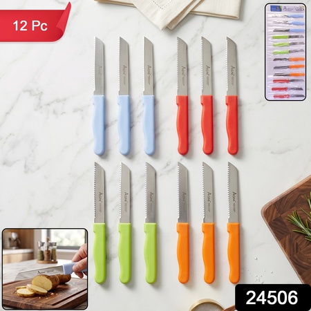 Ss Kitchen Knife Set With Plastic Handle Stainless Steel Vegetable Fruit (12 Pc)