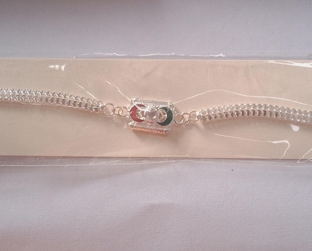 Rakhi 978
